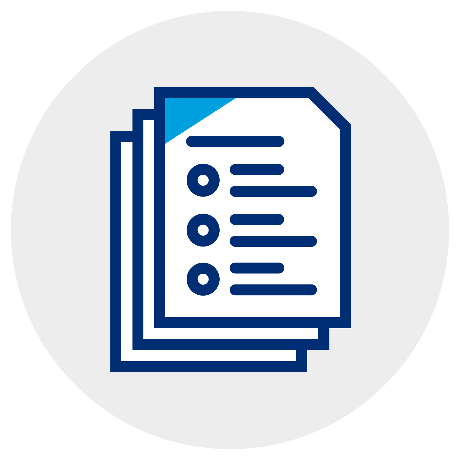 document icon